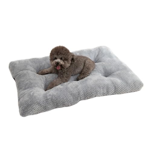 Fesky Kleines Hundebett, waschbar, Plüsch, Katzenbett, Kissen, Matratze mit rutschfester Unterseite, weich, warm, gemütlich, Hundematte, Grau, 55 x 40 cm von Fesky