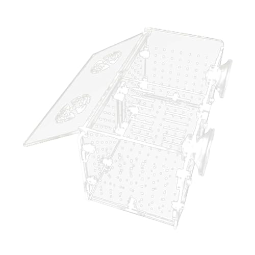 FewNvWa Brutkasten für Aquarien, Laichbereich, Acryl Trennwand für Guppys Und Garnelen, Doppelzimmer FewNvWa Brutkasten für Aquarien, Laichbereich, Acryl Trennwand für Guppys Und Garnelen, Doppelzimmer von FewNvWa