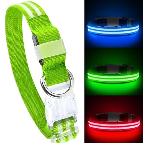 Feycig Leuchthalsband Hund USB Aufladbar - LED Hundehalsband Leuchtend Wasserdicht Leuchtendes Hunde Halsband Einstellbare für Kleine Mittlere Große Hunde, 3 Modi von Feycig