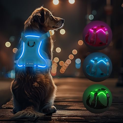 Light Up Dog Hundegeschirr Leuchtend LED Aufladbar - Leuchtgeschirr Leuchtend für Klein Mittelgroße Grosse Hund, Reflektierende Brustgeschirr Beleuchtetes Hundegeschirr, 4-Punkt Verstellbar,Blau,XL von Feycig