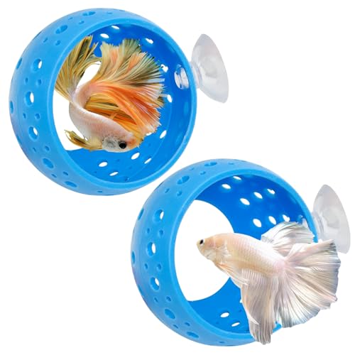 Fhiny Betta-Tunnel, 2 Stück, Aquarium-Fischversteck mit Saugnapf, Aquarium-Tunnel, Garnelen-Höhle, Aquarium-Ornament, Aquarium-Zubehör, für Garnelen, Betta, Guppy, Versteck (blau) von Fhiny