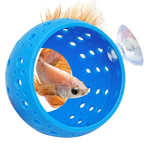 Fhiny Betta Tunnel, Aquarium Betta Fisch Versteck mit Saugnapf, Fischtunnel, Garnelenhöhle, Aquarium-Dekoration, Aquarium-Zubehör für kleine Fische, Garnelen, Betta, Guppy, Versteck (blau) von Fhiny