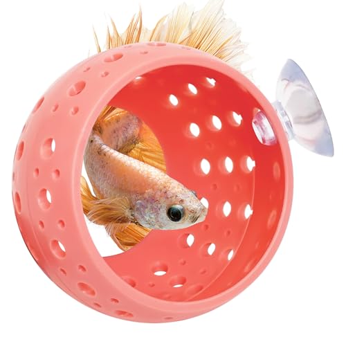 Fhiny Betta Tunnel, Aquarium Betta Fisch Versteck mit Saugnapf, Fischtunnel, Garnelenhöhle, Aquarium-Dekoration, Aquarium-Zubehör für kleine Fische, Garnelen, Betta, Guppy, Verstecken (Rosa) von Fhiny