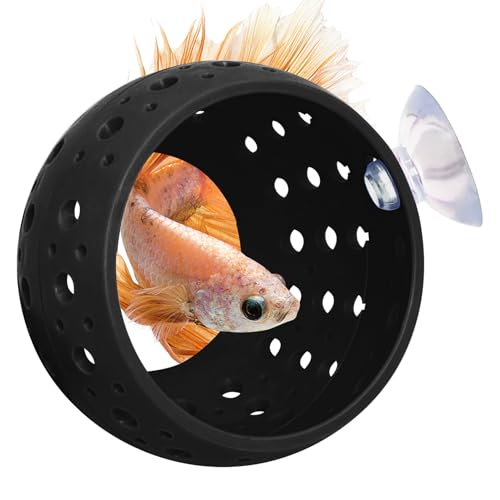 Fhiny Betta Tunnel, Aquarium Betta Fisch Versteck mit Saugnapf Fisch Tank Tunnel Garnelenhöhle Aquarium Dekor Aquarium Zubehör für kleine Fische Garnelen Betta Guppy Verstecken Ruhen (Schwarz) von Fhiny