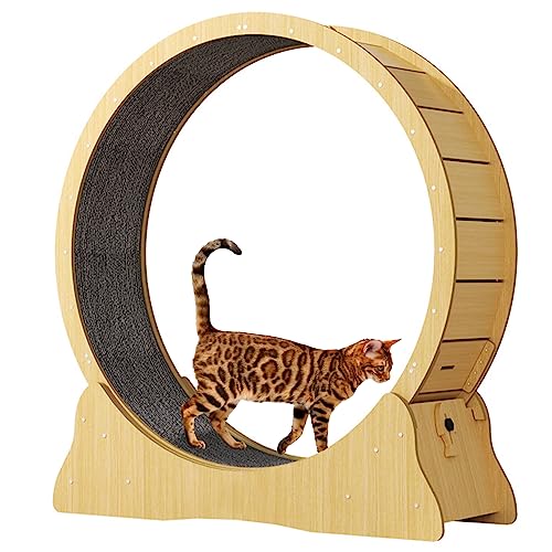 Fhiny Katzen-Laufrad für Indoor-Katzen, großes 101,6 cm Katzenlaufband mit Verriegelungsmechanismus, Holzrollen, Haustier, reibungsloser Lauf für Aktivität, gesundes Kätzchen, Sportspielzeug, einfach von Fhiny