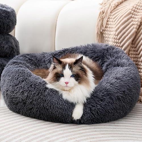 Donut-Hundebett, beruhigendes Hundebett, Haustierbett, kleines Kätzchenbett, Donut-Plüsch, gemütliches Katzenbett, rundes Bett, kleines Kätzchenbett, flauschiges Hundebett, Katzenkissen, von Fhodigogo