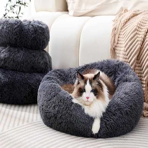 Fhodigogo Hundebett Katzenbett Hundebetten Hundekorb Hundebett Donut Hundebett Rund Hundebett Flauschig Hundebett Klein Hund Hundebetten Für Kleine Hunde Hundebett Kleiner Hund Anzug Zu 8Kg Haustier von Fhodigogo