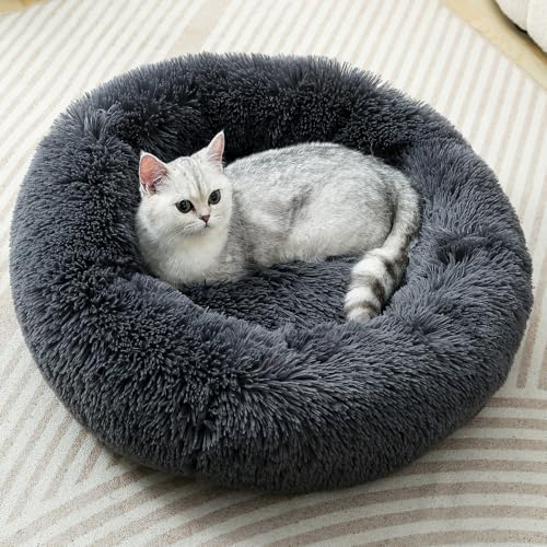 Fhodigogo Hundebett Kleine Hunde Donut Bett Katzen Donut Bett Für Hund Kissen Hund Katzenbett Kuschelkissen Katze Bett Klein Katzenkissen Flauschig für 5kg von Fhodigogo