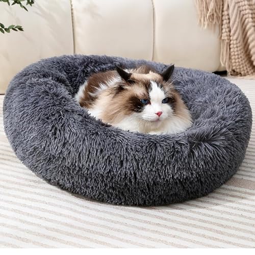 Fhodigogo Kleines flauschiges Hundebett, Plüsch, Donut-Haustierbett, kleines Donut-Bett, Kätzchenbett, für den Innenbereich, Katzen-Höhle, großes Katzenbett, Kätzchen, rundes Katzenbett, Hundebett von Fhodigogo