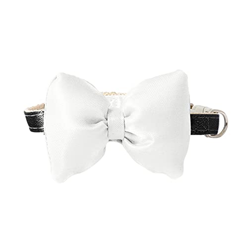 Fhtahun Katzenhalsbänder Fliege Charme Gentleman Katzenhalsbänder Karierte Halsbänder Katzenzubehör Hundehalsband Breit Mit Namen (White, One Size) von Fhtahun