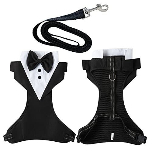 Hundegeschirr Fomal Kleidung Mit Leine, Haustier Hunde Anzugset mit Leine & Verstellbar Brustgeschirr für Kleine Mittlegroße Groß Hunde Welpe Kostüm Shirts für Hochzeit Geburtstag Party (Black, XL) von Fhtahun