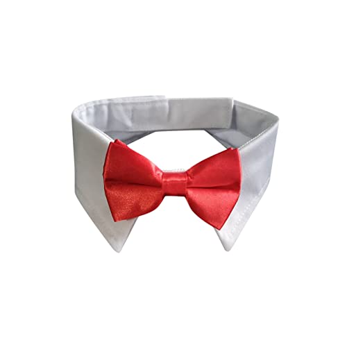 Verstellbares Halsband für Hunde, Hundehalsband mit schwarzer Krawatte, Hochzeit, formelle Hundehalsbänder für kleine, mittelgroße Hunde, Haustiere, , Bogenhalsband Hundehalsband Für Hunde (Red, S) von Fhtahun