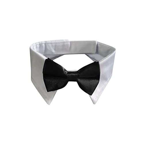 Verstellbares Halsband für Hunde, Hundehalsband mit schwarzer Krawatte, Hochzeit, formelle Hundehalsbänder für kleine, mittelgroße Hunde, Haustiere, , Bogenhalsband Hundehalsband Für Hunde (Black, S) von Fhtahun