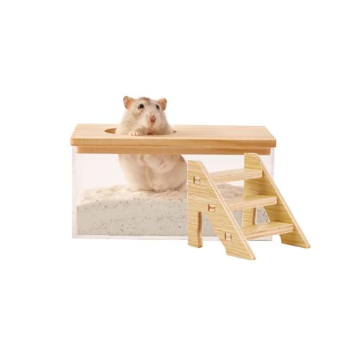 FiboPawer Transparenter rechteckiger Hamster-Sandbadkasten für Hamsterkäfig Zubehör, Graben Sandbehälter mit Kletterleiter, großer Sandkasten für Hamster, Staubbad und Spielsand von FiboPawer