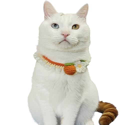 Ficsowy Handgewebtes Katzenhalsband, weich und bequem, niedliches orangefarbenes Muster, für Katzen und Kätzchen (M, Orange) von Ficsowy