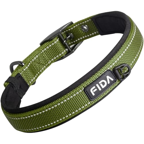 Fida Gepolstertes Hundehalsband, Metall-Gürtelschnalle, Hundehalsband mit doppellagigem Gurtband, strapazierfähiges Hundehalsband für große Hunde, Grün von Fida