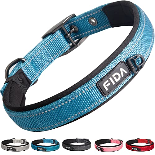 Fida Gepolstertes Hundehalsband, Metall-Gürtelschnalle, Hundehalsband mit doppellagigem Gurtband, strapazierfähiges Hundehalsband für kleine Hunde, Blau von Fida