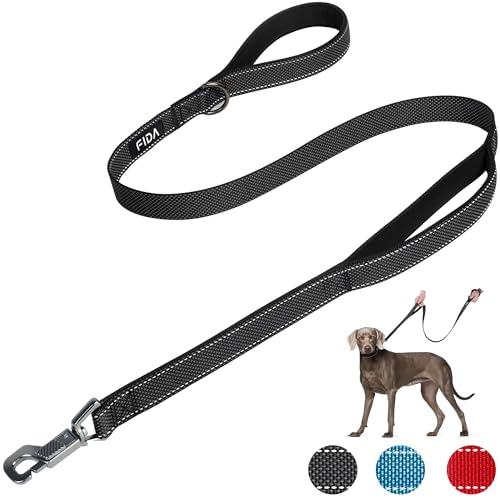 Fida Heavy Duty Hundeleine für mittlere/große Hunde, 1.2M / 4FT Double Handle Hundeleine für mehr Kontrolle, reflektierende Hundeleinen für tägliche Spaziergänge & Training (Schwarz) von Fida