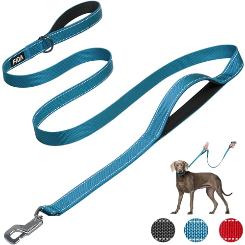 Fida Heavy Duty Hundeleine für mittlere/große Hunde, 1.8M / 6FT Double Handle Hundeleine für mehr Kontrolle, reflektierende Hundeleinen für tägliche Spaziergänge & Training (Blau) von Fida