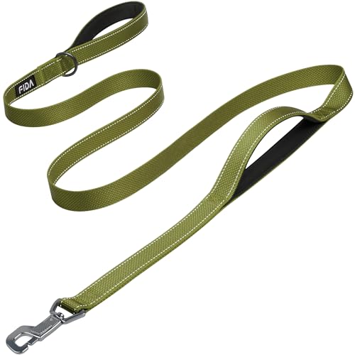 Fida Heavy Duty Hundeleine für mittlere/große Hunde, 1.8M / 6FT Double Handle Hundeleine für mehr Kontrolle, reflektierende Hundeleinen für tägliche Spaziergänge & Training (Armeegrün) von Fida