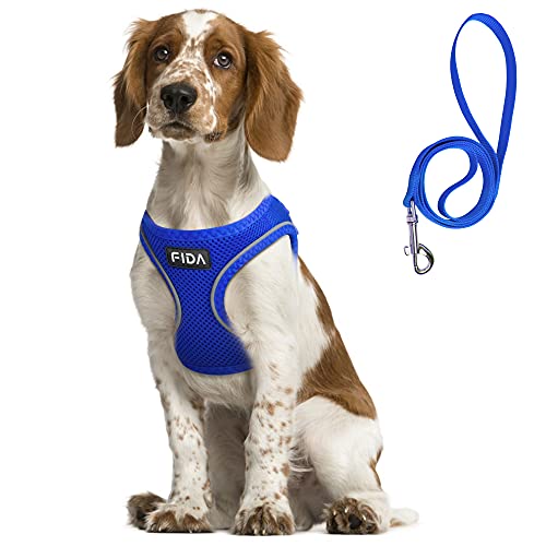 Fida Step-in Flex Hundegeschirr mit Hundeleine, weiche Welpenweste – Allwetter-Mesh-Einstellbares Geschirr für kleine Hunde oder Katzen (XL, Flussblau) von Fida