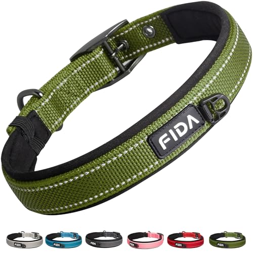 Fida Strapazierfähiges Hundehalsband, ultra-bequem, weiches Neopren gepolstert, verstellbares reflektierendes Nylon-Haustierhalsband mit robuster Metall-Gürtelschnalle für kleine Rassen (S, Grün) von Fida