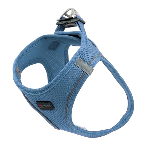 Filbert Hundegeschirr Mittelgroße Hunde, Step-In Reflektierendes Hundegeschirr Mittelgroße Hunde, Welpengeschirr, Mittelgroße Hundegeschirr, Mesh Dog Vest Harness Dog Harnesses, Best Harness for Dog, von Filbert