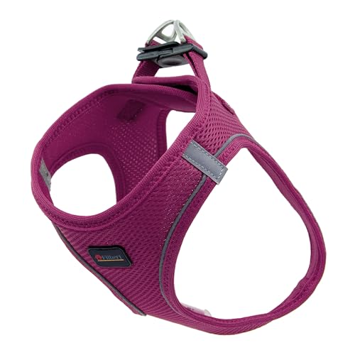 Filbert Hundegeschirr Mittelgroße Hunde, Step-in Reflektierendes Hundegeschirr Mittelgroße Hunde, Welpengeschirr, Mittelgroße Hunde, Mesh Dog Vest Harness Dog Harnesses, Best Harness for Dog, Purple von Filbert