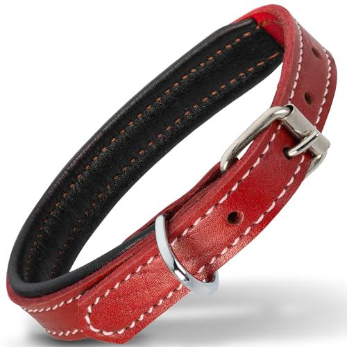 Filbert Hundehalsband aus Leder, Echtlederhalsband für kleine Hunde, hochwertiges rotes Leder-Hundehalsband, luxuriöses gepolstertes Leder-Hundehalsband, starkes Halsband für Hunde von Filbert