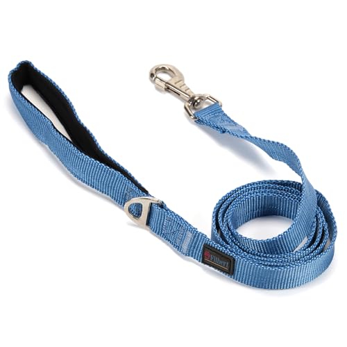 Filbert Nylon-Hundeleine, robuste Hundeleine, Hundeleine für mittelgroße Hunde, Hundeleine für kleine Hunde, 1,9 cm x 1,4 m, starke und langlebige Hundeleine, Welpenleine, Zugseil, blaue Leine für von Filbert