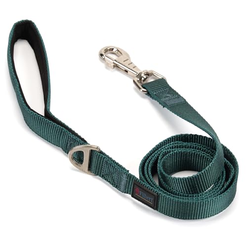 Filbert Nylon-Hundeleine, robuste Hundeleine, Hundeleine für mittelgroße Hunde, Hundeleine für kleine Hunde, 1,9 cm x 1,4 m, starke und langlebige Hundeleine, Welpenleine, Zugseil, grüne Leine für von Filbert