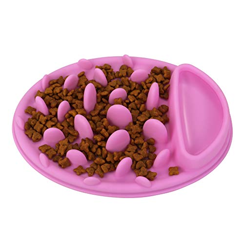 Filhome Hund Slow Feeder Bowl Anti Schling Napf für Hunde und Katzen von Filhome