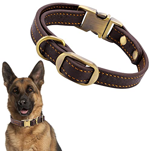 Filhome Leder Hundehalsband Verstellbar Hunde Halsbänder mit Metallschnalle Braun Hundehalsband für Kleine Mittel Große Hunde (M - Bandbreite: 1,5cm, Halsumfang: 24-33cm) von Filhome