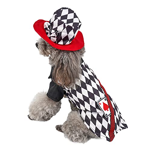 Filhome Zauberer Hundekostüm Halloween Outfits mit Zylinder Katze warme Kleidung Herbst Winter Weihnachten Haustier Cosplay für kleine und mittelgroße Hunde (XL) von Filhome