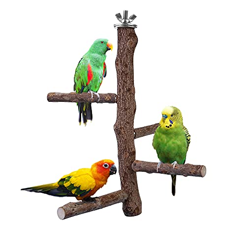 Vogelstange Stand Spielzeug, Naturholz Papagei Sitzstange Vogelkäfig Zweig Sitzstange Zubehör für Sittiche Nymphensittiche Conures Aras Finken Liebesvögel (M: 25,4 cm Länge) von Filhome