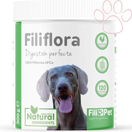 Filipet Filiflora, Probiotikum für Hunde, stellt die Darmflora Wieder her und stärkt das Immunsystem Ihres Hundes, Naturprodukt aus Pflanzenextrakten von Filipet