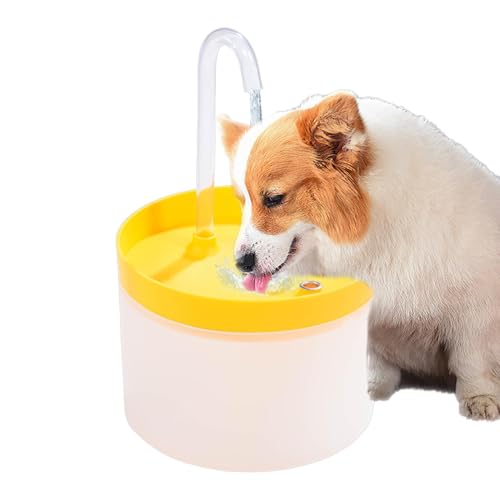 Automatischer Pet Waterer Dispenser, Pet Puppy Automatischer Wasserspender Automatischer Pet Feeder Katze Wasserspender Edelstahl Schüssel Einfach zu Bedienen Tragbar für Kleine Mittlere Große Welpen von Filvczt