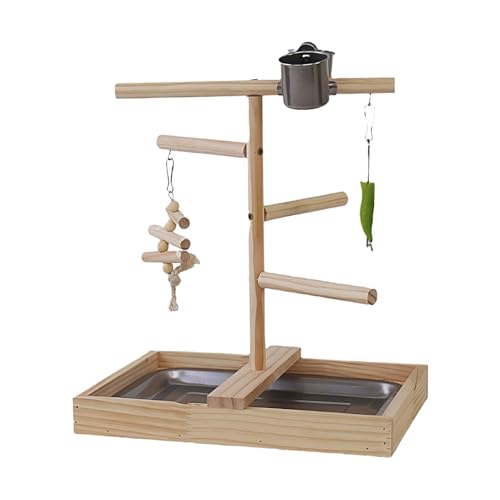 Bird Playground Stand, Bird Stand Toys, Bird Play Gym Playpen, Wooden Parrot Stand, Small Middle Parakeets Cockatiels Finches, Easy to Use, Portable for Cockatiels, Budgies, Parakeets von Filvczt