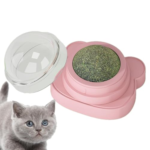 Filvczt Catnip Toys Balls, Lickable Chew Rotatable Cat Catnip Toy, Cat Licking Toy Catnip Ball, Edible Licking Balls Snack, Natural Healthy Rotatable Treats Toys, Easy to Use, Portable for Pets von Filvczt