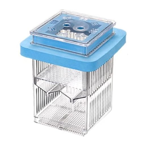 Guppy Breeder Box, Fischtankteiler, Schwimmende Schlupfbox, Mit Schwimmender Klarem Rahmen, Leicht Zu Reinigen Und Zu Warten, 9,5 X 9,5 X 13 cm, Blau/gelb, Für Betta Betta Betta von Filvczt