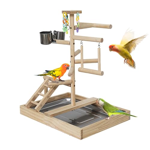 Parrot Stand Playground, Natural Wood Bird Toys, Wooden Bird Pole Swing Toy, Bird Play Stand, Wooden Parrot Stand, Easy to Use, Portable for Lovebird, Budgie, Cockatiel von Filvczt