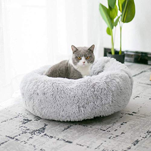 Findm Store Super Weich Warm Haustierbett Rund oder Oval Höhlenbett Waschbar Hundekörbchen Kuschelig Plüsch Katzenkissen S/M/L/XL für Katzen und Welpen von Findm Store