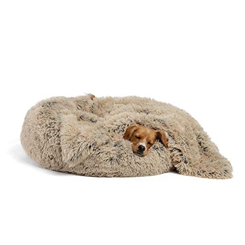 Findm Store Ultraweiches Hundesofa Größe mit XS/S/M/L/XL/XXL Orthopädisches Hundebett mit Hundedecke, Weiche Plüsch Tierkissen Hygienisch, rutschfest, Waschbar Haustier Matte Matratze von Findm Store