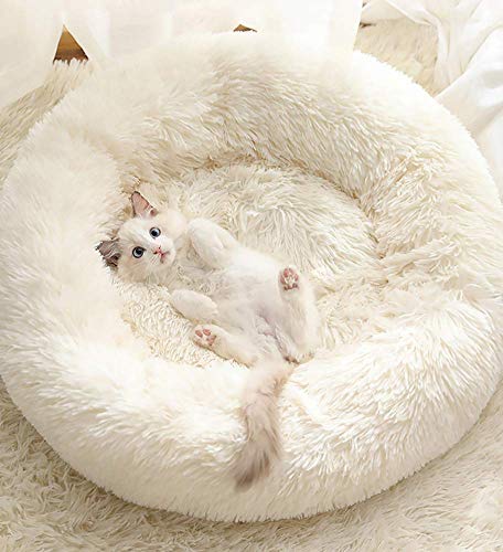 Findm Store Warm Haustierbett Schöne Katzenkissen Donut-Kuschelnest Hundebett Weiches Plüsch Hundesofa mit Rutschfestem Boden, Waschbare Matratze für Kleine, Mittelgroße Hunde Katzen von Findm Store