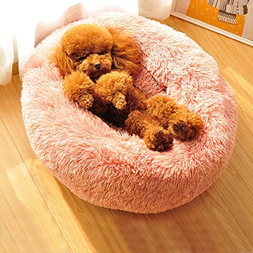 Findm Store Warm Haustierbett Schöne Katzenkissen Donut-Kuschelnest Hundebett Weiches Plüsch Hundesofa mit Rutschfestem Boden, Waschbare Matratze für Kleine, Mittelgroße Hunde Katzen von Findm Store