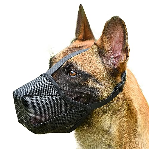 Maulkorb für Hunde Weiche Verstellbare Mesh Maulkörbe Anti Giftköder Maulkorb Atmungsaktiver Maulkorb für Kleine Mittelgroße und Große Hunde Verstellbare Fressschutz Hund Beißen und Kauen(M) von Fine jade2