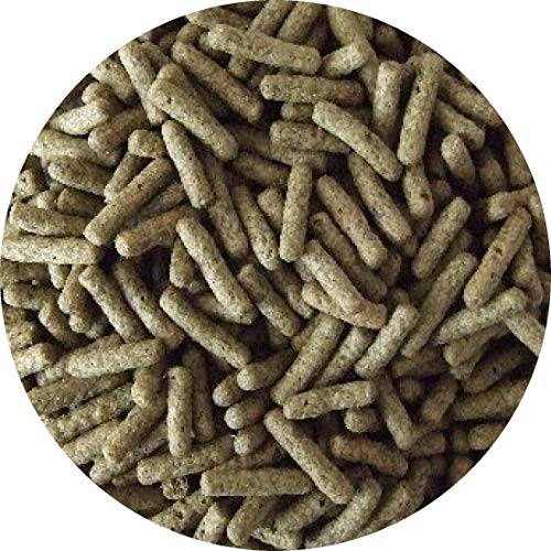 Cichliden Sticks Barsch Sticks Barschfutter Cichlidenfutter Vegetal Herbivore (10 l) von Fischfuttertreff