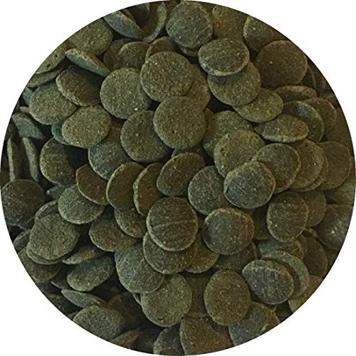 Fischfutter Futtertabletten Wafer Mini Spirulina-Algen Wafers Welstabletten Ø1cm (1 kg) von Fischfuttertreff