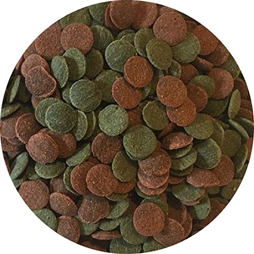 Fischfutter Futtertabletten Wafer Mix Mini Color Spirulina Welstabletten Ø1cm (1 kg) von Fischfuttertreff