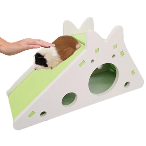 Aktivitätsspielzeug für Hamster Aktivitätshaus für kleine Haustiere Kletterleiter für Hamster Rennmauskäfigzubehör Versteckspielzeug für kleine Haustiere Hamsterspielset mit Rutsche Interaktives Hamst von Fisssure